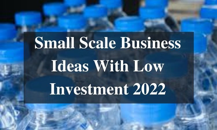 Small Scale Business Ideas With Low Investment 2022