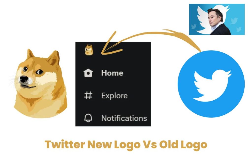 Twitter New Logo Vs Old Logo Why Musk changed the logo of Twitter