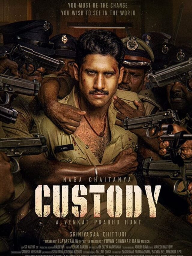 Custody Movie